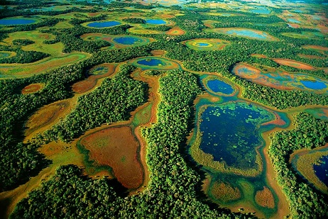 Pantanal Conservation Area